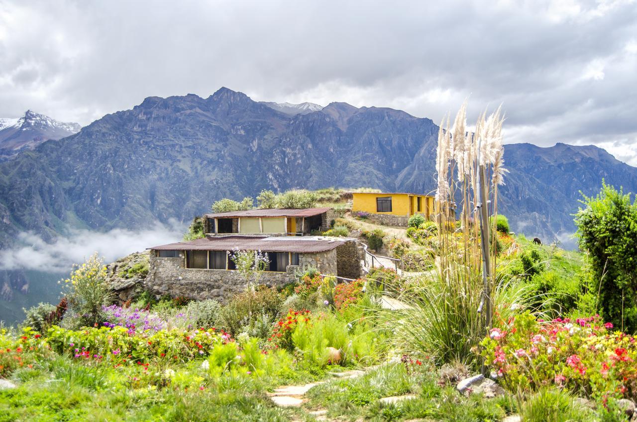 La Granja Del Colca Vila Cabanaconde Exterior foto